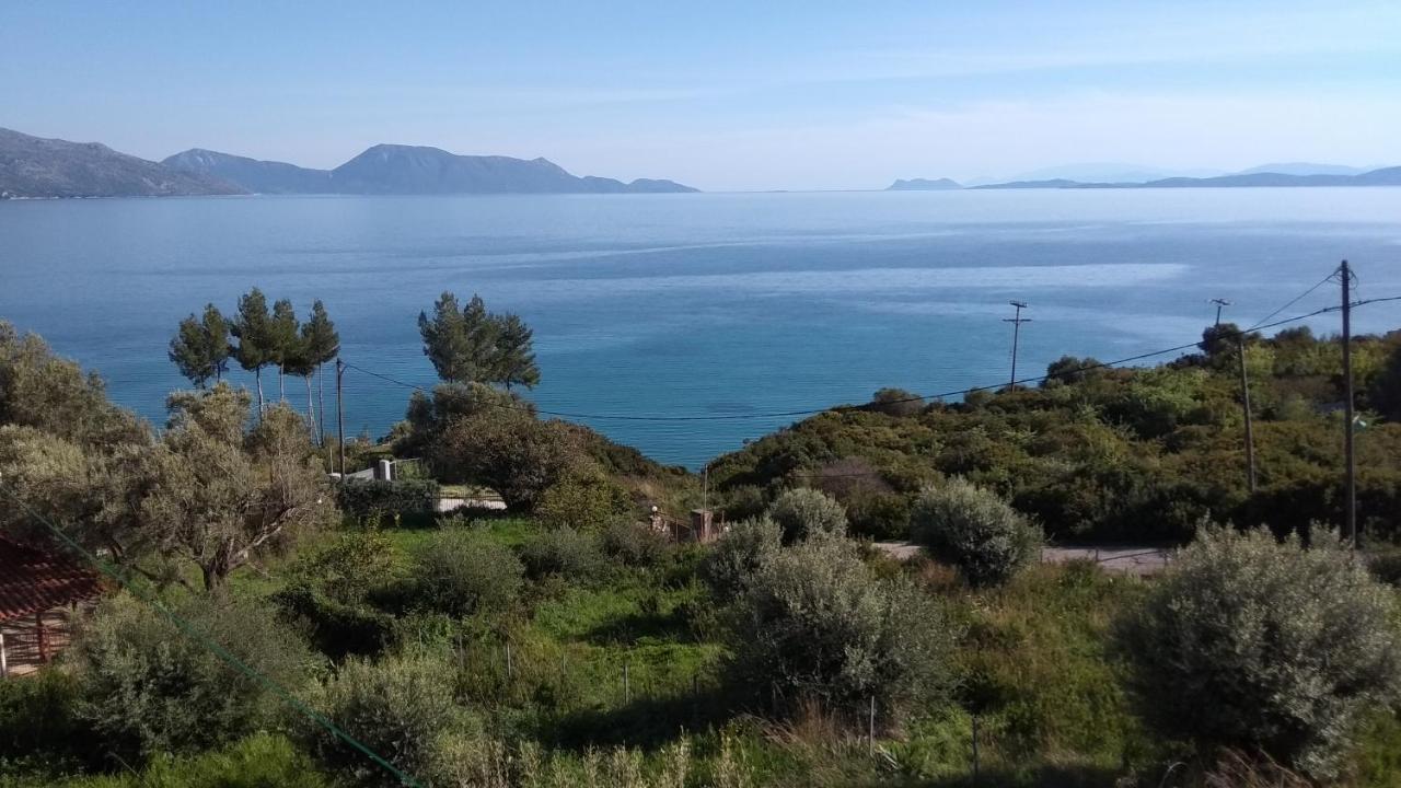 Ilios Διαμέρισμα Πογωνιά Εξωτερικό φωτογραφία
